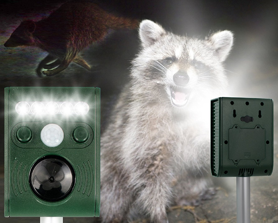 31 for an Animal Sonic Motion Repeller Buytopia